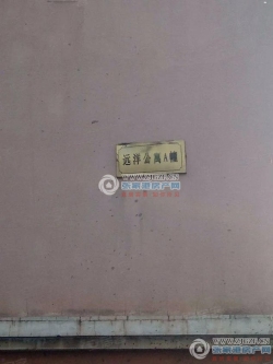 Զ��Ԣ���
