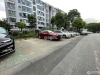 锦都花苑实景图，拍摄于2024/11/21