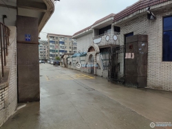 �����´����
