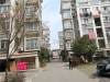 东莱花园实景图，拍摄于2024/11/21