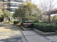 阳光水岸实景图，拍摄于2024/11/21
