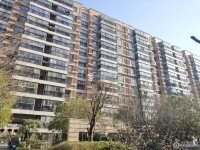 阳光水岸实景图，拍摄于2024/11/21