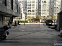 阳光水岸实景图，拍摄于2024/11/21