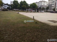 徐丰小区实景图，拍摄于2024/11/22