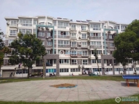 徐丰小区实景图，拍摄于2024/11/22