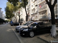 新丰苑实景图，拍摄于2024/11/22