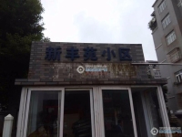 新丰苑实景图，拍摄于2024/11/22