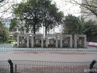 东苑小区实景图，拍摄于2024/11/22