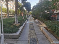 东苑小区实景图，拍摄于2024/11/22