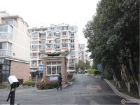 东苑小区实景图，拍摄于2024/11/22