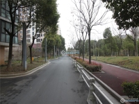 玲珑湾实景图，拍摄于2024/11/22