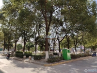 向阳一村实景图，拍摄于2024/11/22