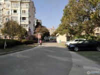 民丰苑东区实景图，拍摄于2024/11/22