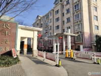 民丰苑东区实景图，拍摄于2024/11/22