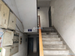 ���Է�������