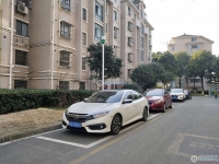 民丰苑西区实景图，拍摄于2024/11/22