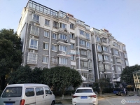 联欣花苑实景图，拍摄于2024/11/22