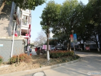 联欣花苑实景图，拍摄于2024/11/22