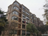 阳光绿城实景图，拍摄于2024/11/22