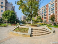 阳光绿城实景图，拍摄于2024/11/22