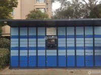 阳光绿城实景图，拍摄于2024/11/22