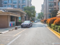 阳光绿城实景图，拍摄于2024/11/22
