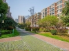 阳光绿城实景图，拍摄于2024/11/22