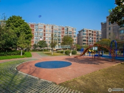 �����̳����