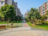 阳光绿城实景图，拍摄于2024/11/22