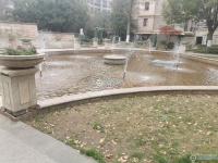 阳光绿城实景图，拍摄于2024/11/22