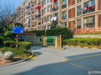 阳光绿城实景图，拍摄于2024/11/22