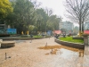 阳光绿城实景图，拍摄于2024/11/22