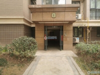 阳光绿城实景图，拍摄于2024/11/22