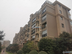 �����̳����