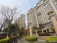 暨阳湖皇冠实景图，拍摄于2024/11/25