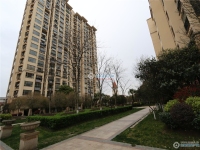 香蜜湖公馆实景图，拍摄于2024/11/25