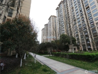 香蜜湖公馆实景图，拍摄于2024/11/25