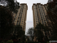 香蜜湖公馆实景图，拍摄于2024/11/25