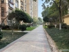 香蜜湖公馆实景图，拍摄于2024/11/25
