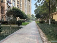 香蜜湖公馆实景图，拍摄于2024/11/25