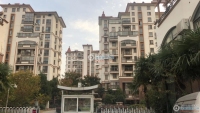 东海华庭实景图，拍摄于2024/11/25