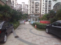 东海华庭实景图，拍摄于2024/11/25