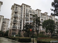 东海华庭实景图，拍摄于2024/11/25