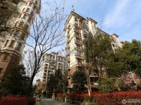 东海华庭实景图，拍摄于2024/11/25