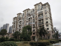 东海华庭实景图，拍摄于2024/11/25