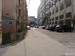 Ӱ�绨Է���