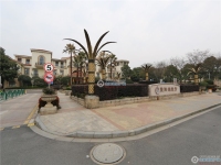 暨阳湖壹号实景图，拍摄于2024/11/25