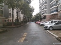 大新泰富花园实景图，拍摄于2024/11/25
