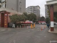 大新泰富花园实景图，拍摄于2024/11/25