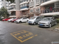 大新泰富花园实景图，拍摄于2024/11/25